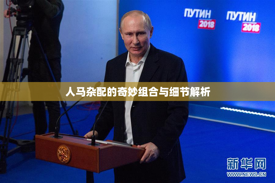 人马杂配的奇妙组合与细节解析