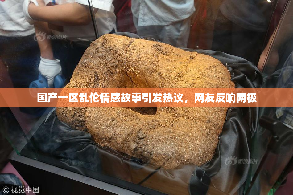 国产一区乱伦情感故事引发热议，网友反响两极