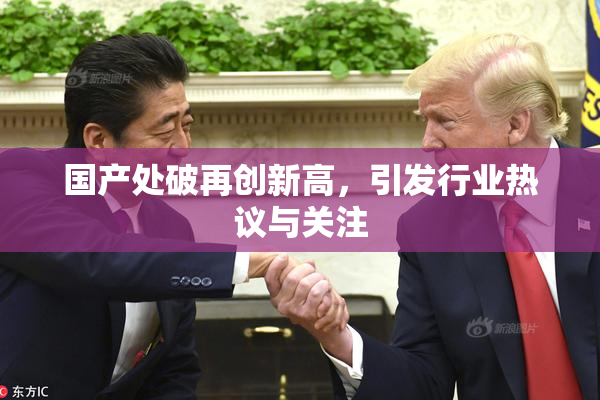 国产处破再创新高，引发行业热议与关注