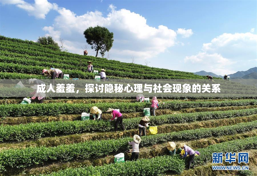 成人羞羞，探讨隐秘心理与社会现象的关系