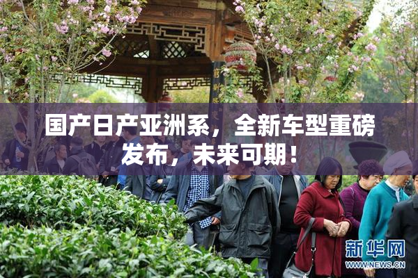 国产日产亚洲系，全新车型重磅发布，未来可期！