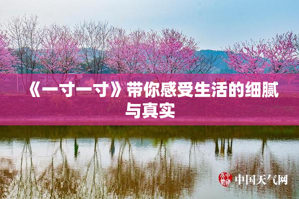 《一寸一寸》带你感受生活的细腻与真实