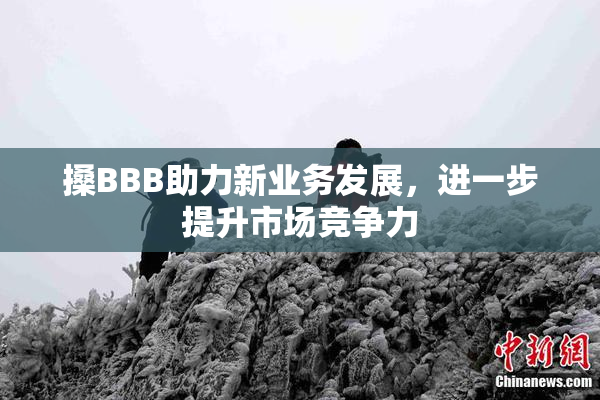搡BBB助力新业务发展，进一步提升市场竞争力