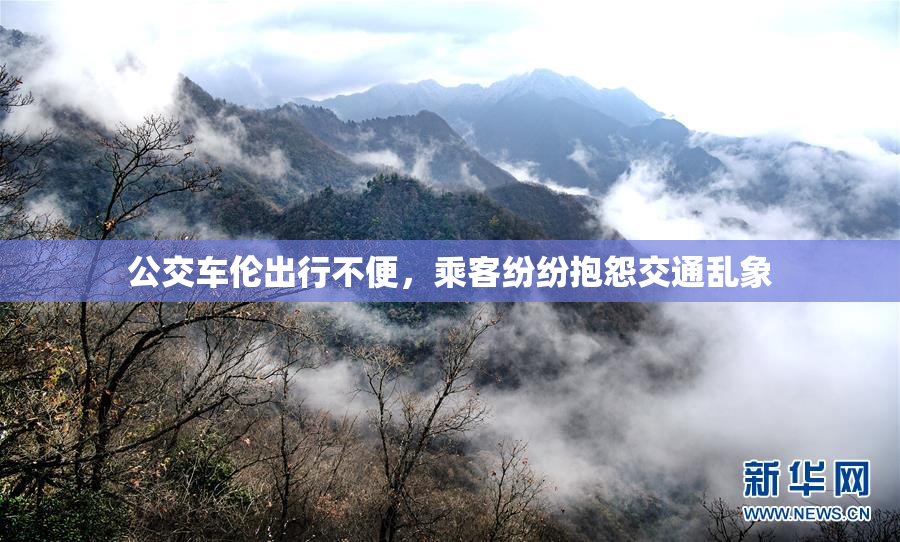 公交车伦出行不便，乘客纷纷抱怨交通乱象