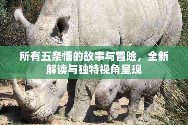 所有五条悟的故事与冒险，全新解读与独特视角呈现