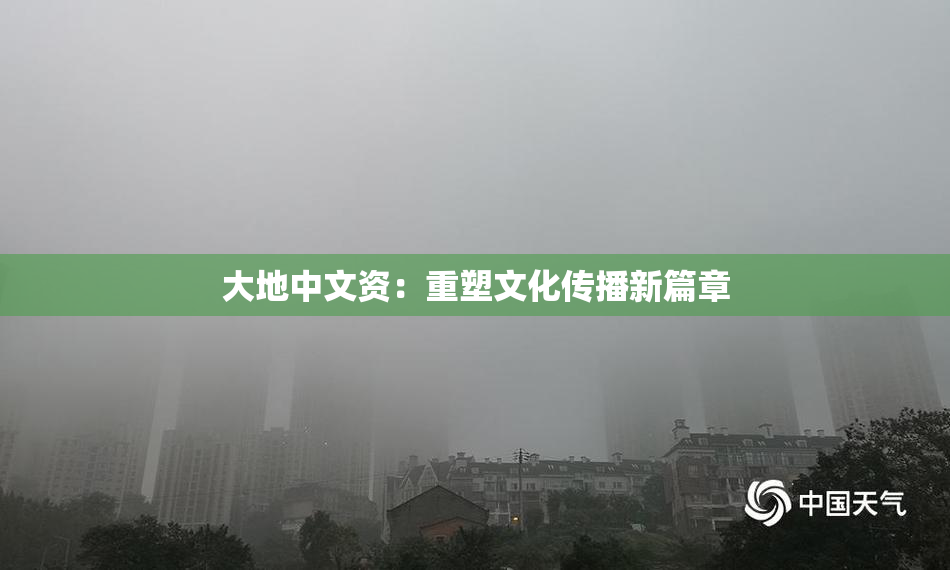 大地中文资：重塑文化传播新篇章
