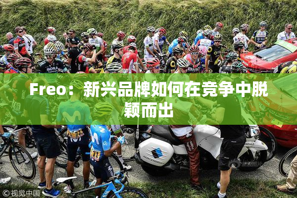 Freo：新兴品牌如何在竞争中脱颖而出