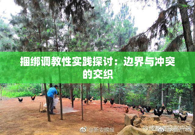 捆绑调教性实践探讨：边界与冲突的交织