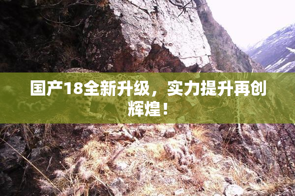 国产18全新升级，实力提升再创辉煌！
