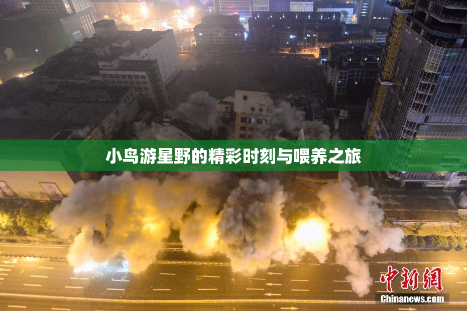 小鸟游星野的精彩时刻与喂养之旅