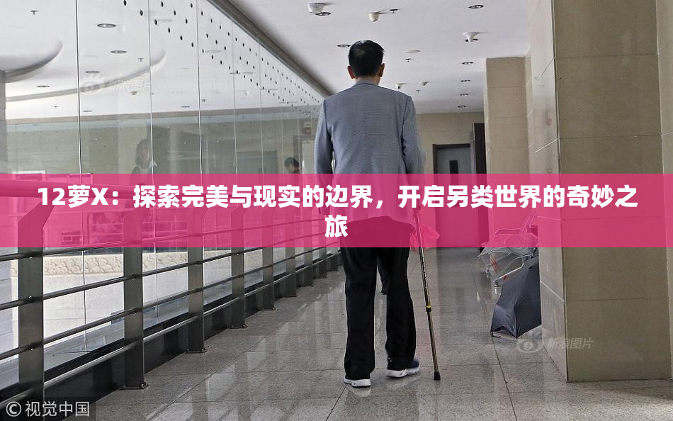 12萝X：探索完美与现实的边界，开启另类世界的奇妙之旅