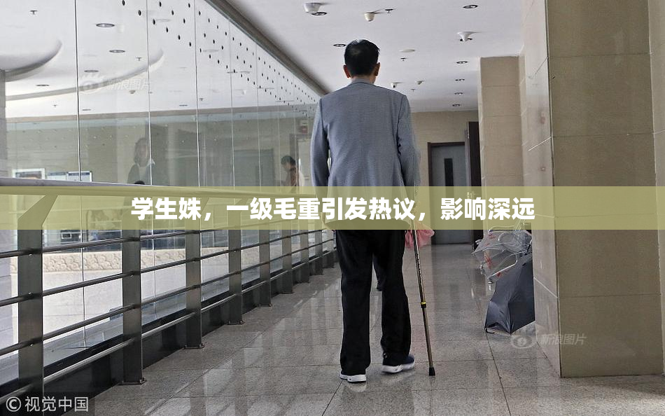 学生姝，一级毛重引发热议，影响深远