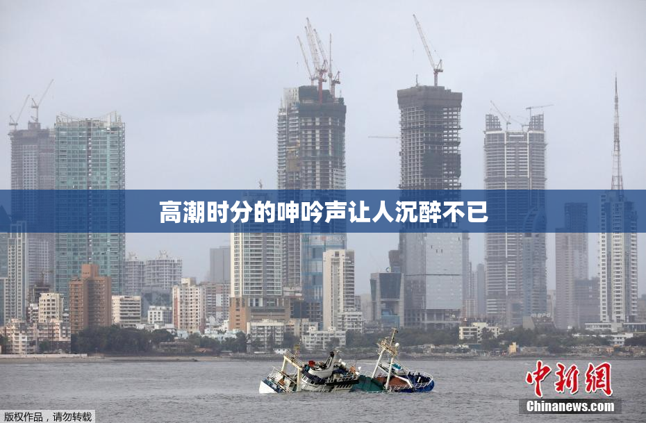 高潮时分的呻吟声让人沉醉不已