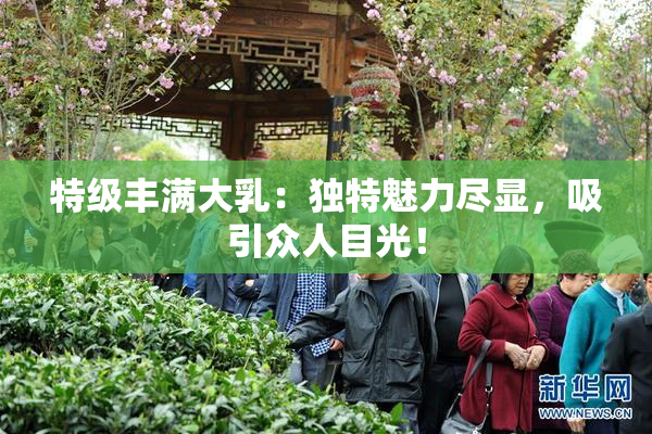 特级丰满大乳：独特魅力尽显，吸引众人目光！