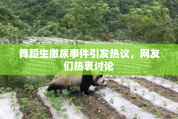 舞蹈生撒尿事件引发热议，网友们热衷讨论
