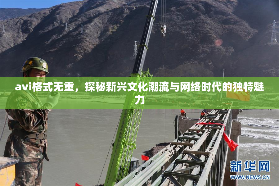 avi格式无重，探秘新兴文化潮流与网络时代的独特魅力