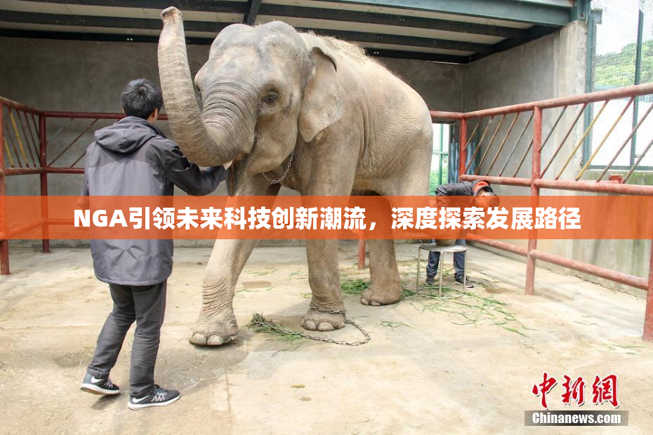 NGA引领未来科技创新潮流，深度探索发展路径