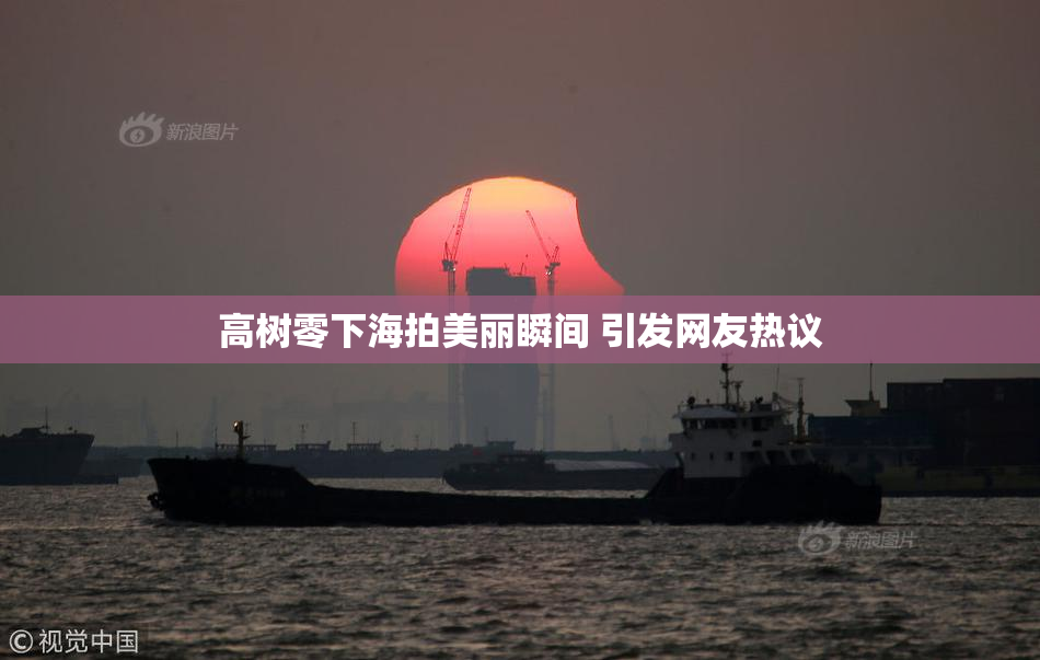 高树零下海拍美丽瞬间 引发网友热议