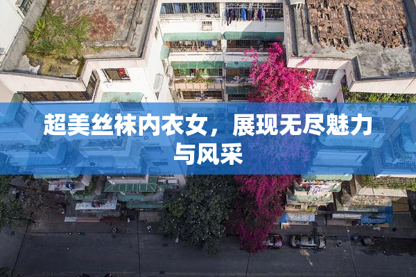 超美丝袜内衣女，展现无尽魅力与风采