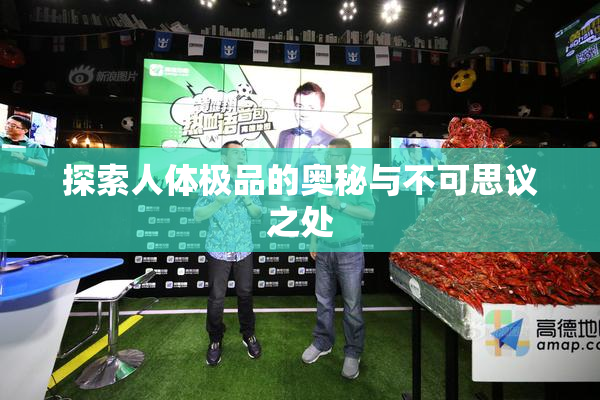 探索人体极品的奥秘与不可思议之处