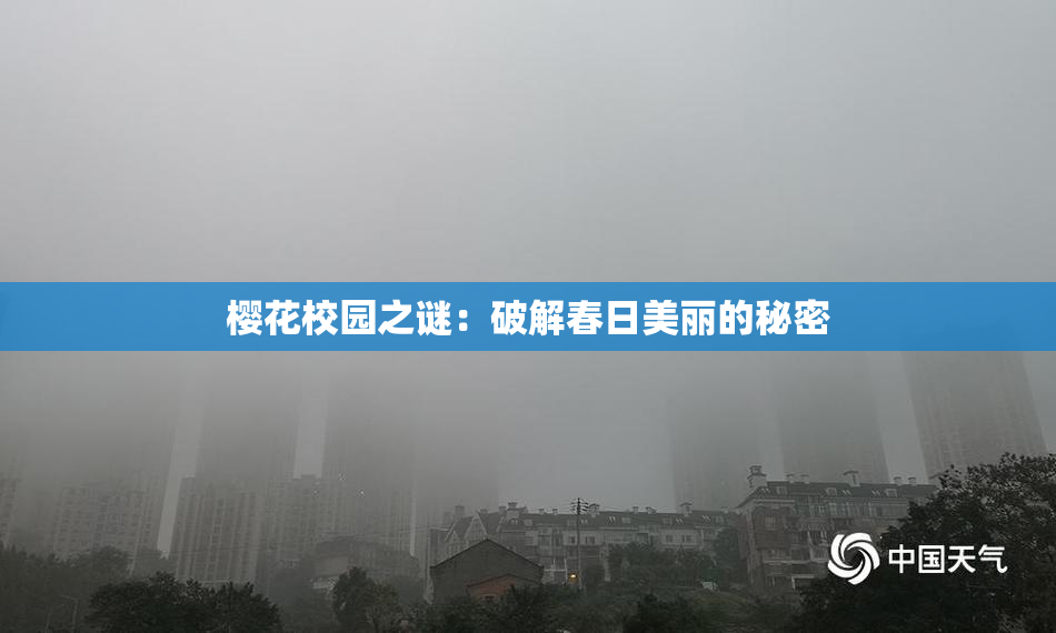 樱花校园之谜：破解春日美丽的秘密