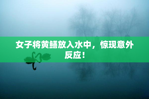 女子将黄鳝放入水中，惊现意外反应！