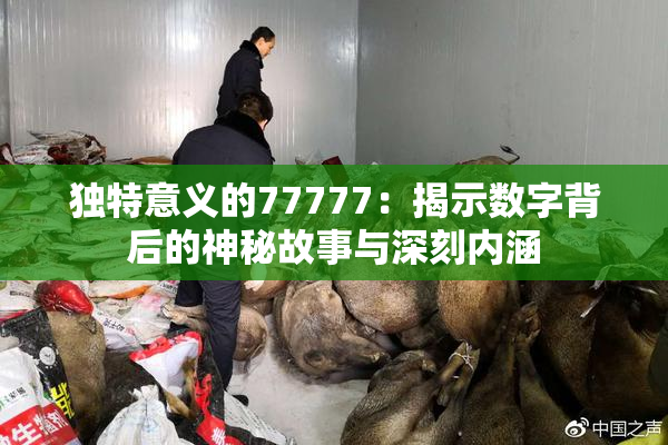 独特意义的77777：揭示数字背后的神秘故事与深刻内涵
