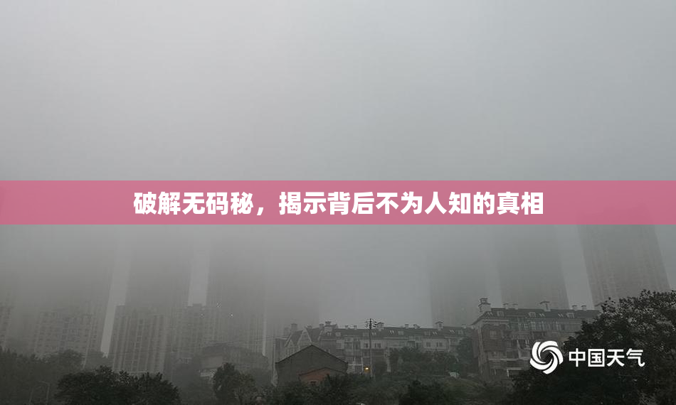 破解无码秘，揭示背后不为人知的真相