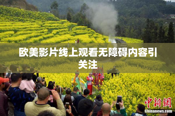 欧美影片线上观看无障碍内容引关注
