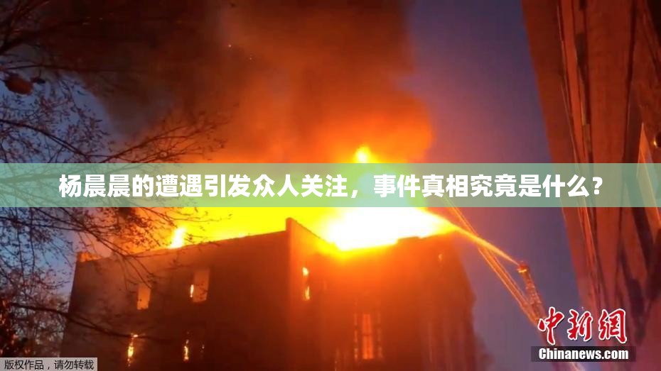 杨晨晨的遭遇引发众人关注，事件真相究竟是什么？