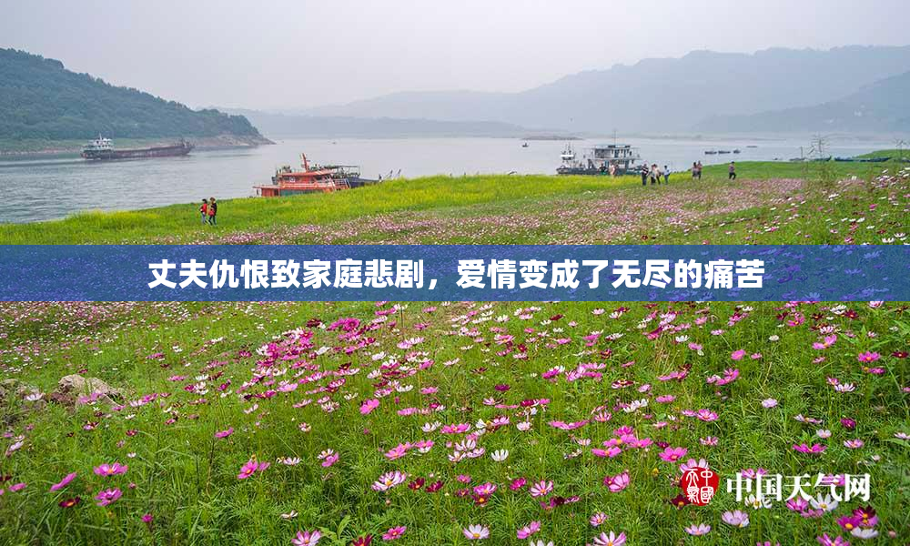 丈夫仇恨致家庭悲剧，爱情变成了无尽的痛苦