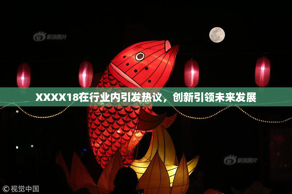 XXXX18在行业内引发热议，创新引领未来发展