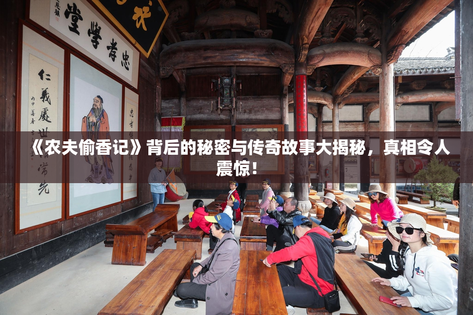 《农夫偷香记》背后的秘密与传奇故事大揭秘，真相令人震惊！