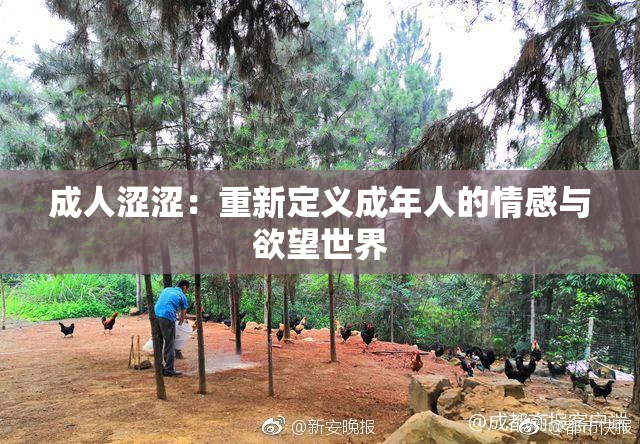 成人涩涩：重新定义成年人的情感与欲望世界