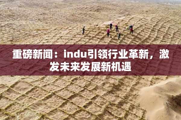 重磅新闻：indu引领行业革新，激发未来发展新机遇