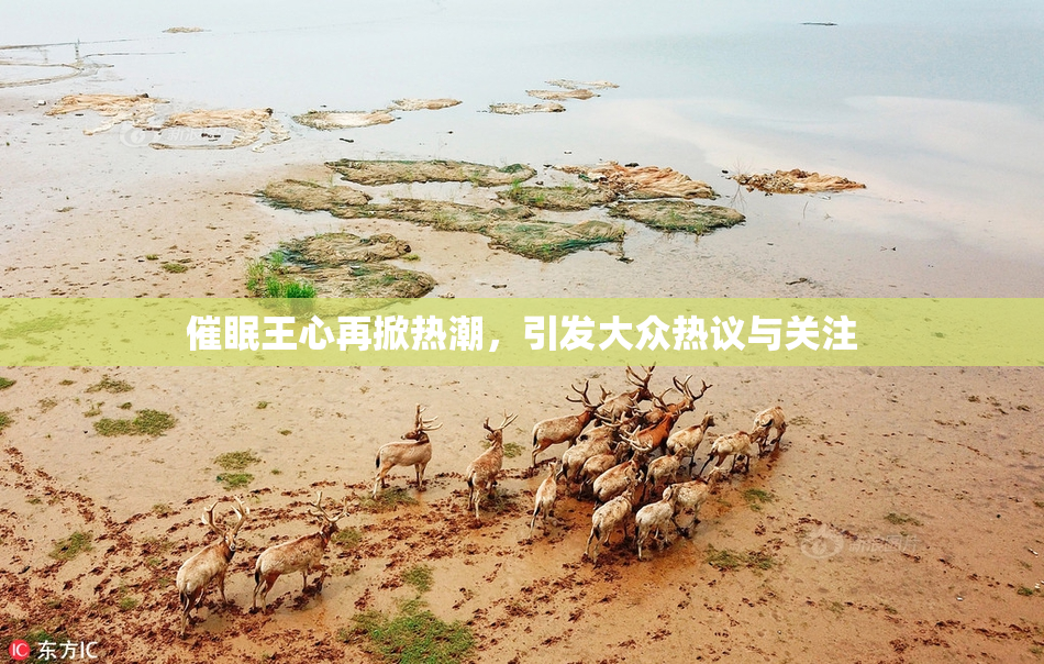 催眠王心再掀热潮，引发大众热议与关注