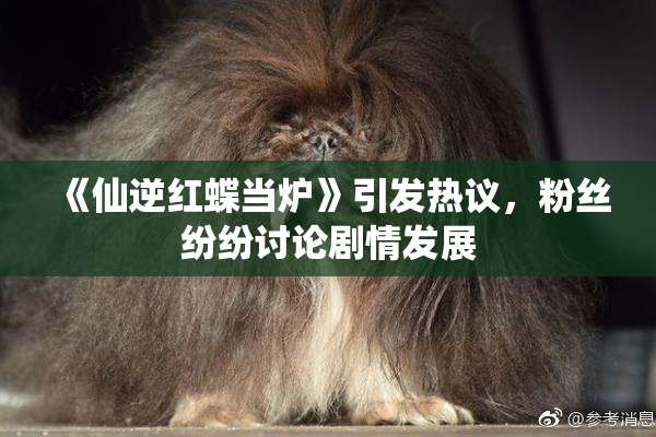 《仙逆红蝶当炉》引发热议，粉丝纷纷讨论剧情发展