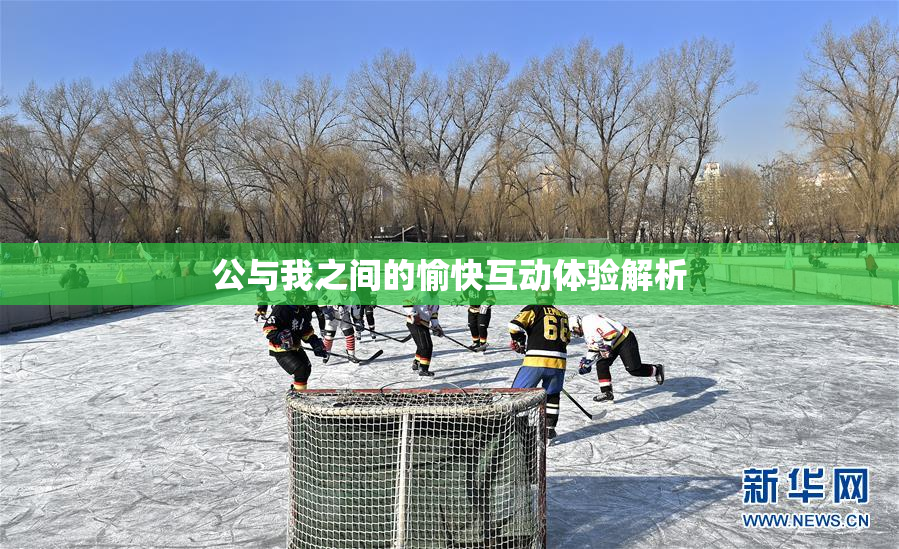 公与我之间的愉快互动体验解析
