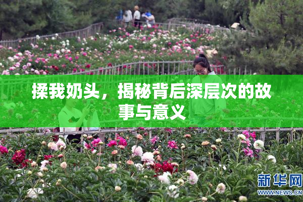 揉我奶头，揭秘背后深层次的故事与意义