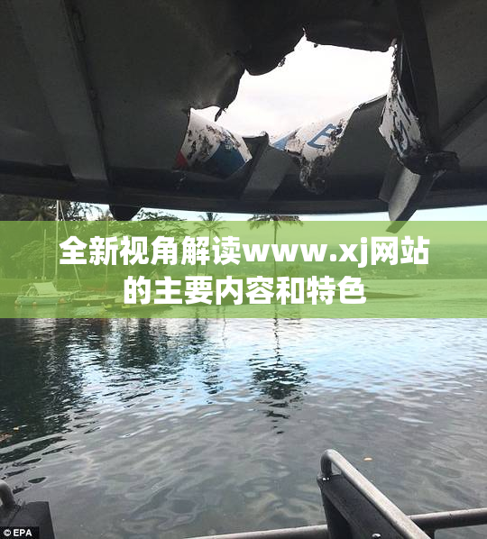 全新视角解读www.xj网站的主要内容和特色