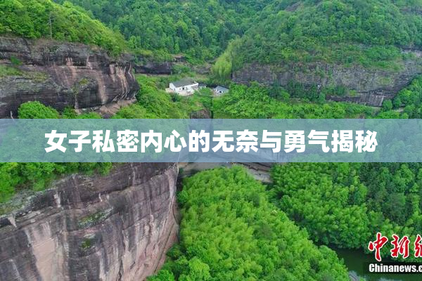 女子私密内心的无奈与勇气揭秘