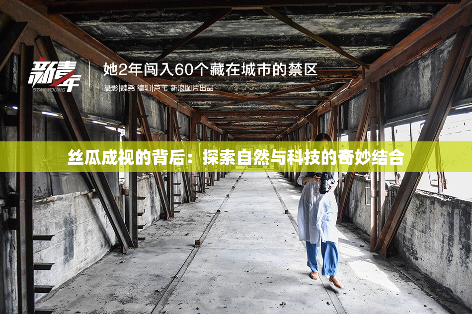 丝瓜成视的背后：探索自然与科技的奇妙结合