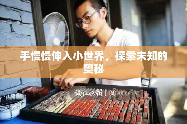 手慢慢伸入小世界，探索未知的奥秘