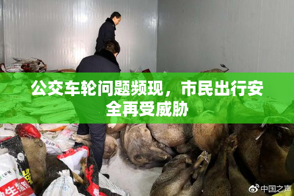 公交车轮问题频现，市民出行安全再受威胁