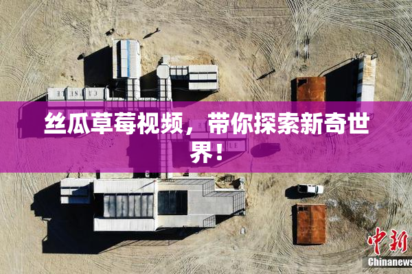 丝瓜草莓视频，带你探索新奇世界！