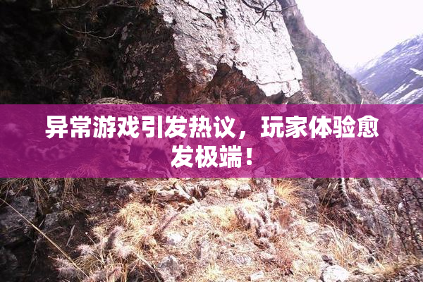 异常游戏引发热议，玩家体验愈发极端！