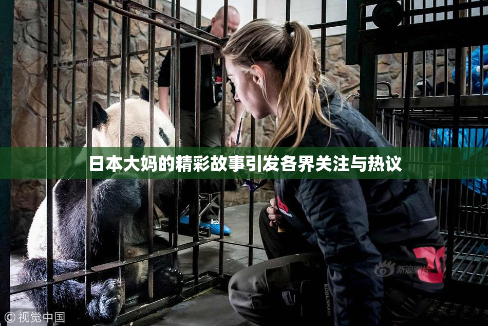 日本大妈的精彩故事引发各界关注与热议