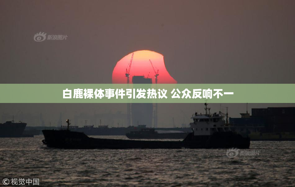 白鹿裸体事件引发热议 公众反响不一