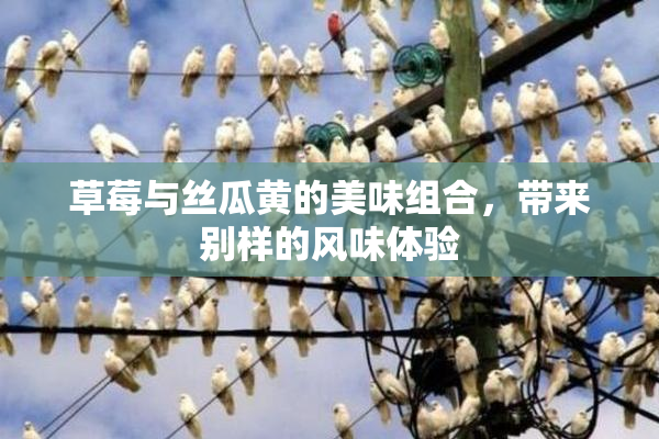 草莓与丝瓜黄的美味组合，带来别样的风味体验