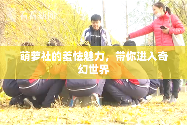 萌萝社的羞怯魅力，带你进入奇幻世界